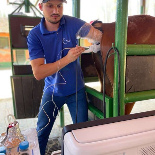 6.2 icsi - resultados podem variar