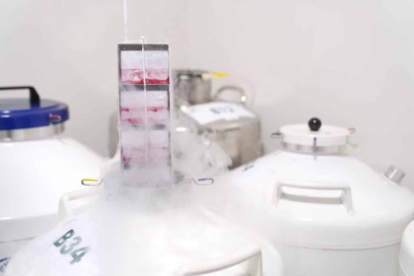 3 serviço banco genético - Copy