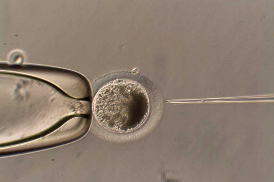 4 icsi - indicações