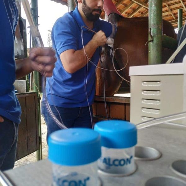 6.1 icsi - resultados podem variar